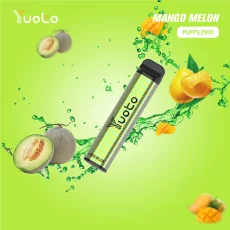 ویپ یکبار مصرف Yuoto XXL – Mango Melom